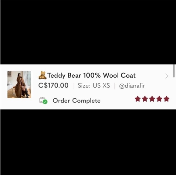 🧸100% Wool Teddy Coat - Picture 2 of 5
